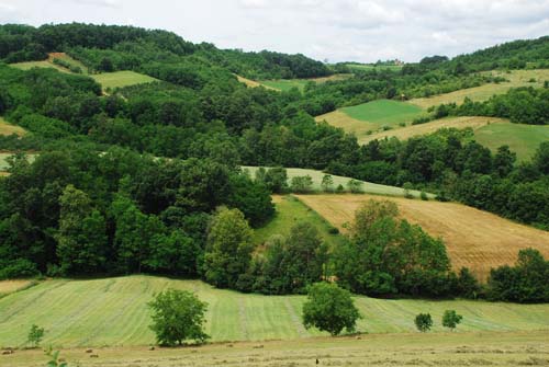 ����������� ���� 2009 � 1389.org.rs